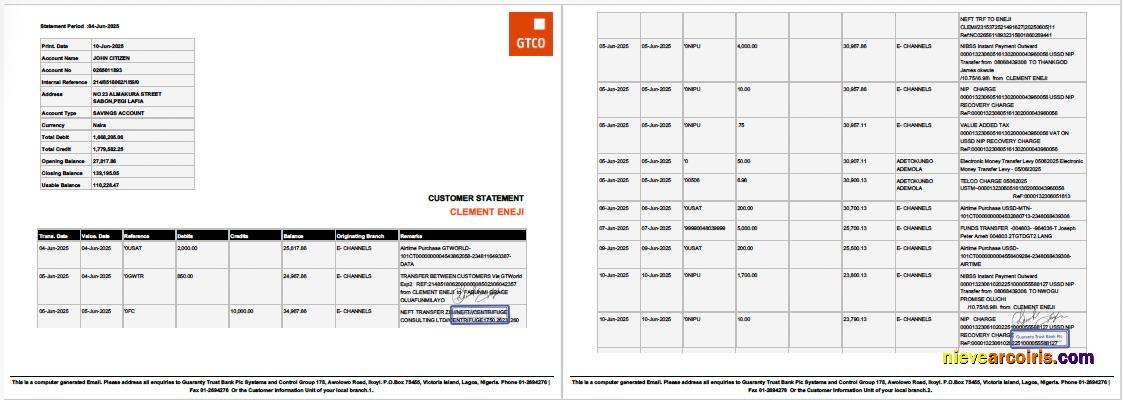 Nigeria Guaranty Trust Bank Plc account statement Word and PDF, 2 pages